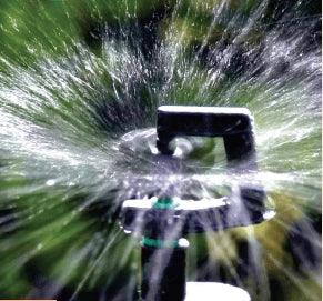 Sprinkler spraying water in a garden
