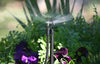 Garden sprinkler in action with plants and flowers in the background