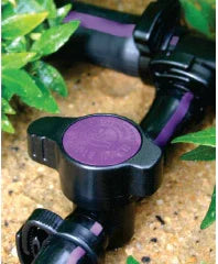 Close-up of a black and purple garden irrigation system flow component on soil.
