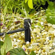 Hozelock 2788 sprinkler in action watering small green plants
