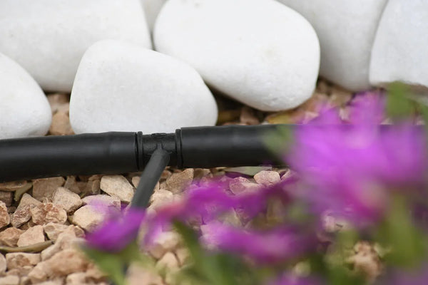 Drip irrigation system with white stones and purple flowers in the foreground