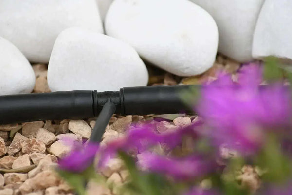 Drip irrigation system with white stones and purple flowers in the foreground