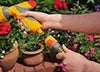 Person watering plants with a garden hose in a garden setting