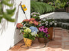 Potted flowers on a patio with a water pump in the background