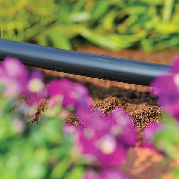 Irrigation Hose on Flowerbed