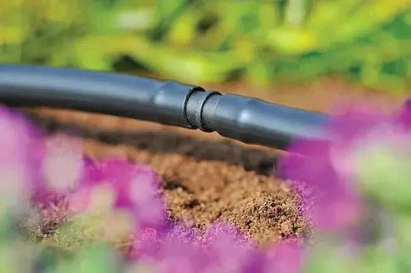 Hozelock 2768 Drip irrigation system in a garden with flowers and soil.