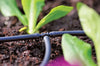 Hozelock 2777 Drip irrigation system in a garden with plants and soil.
