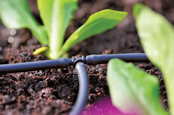 Hozelock 2777 Drip irrigation system in a garden with plants and soil.