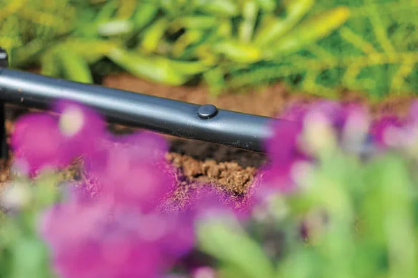 Irrigation pipe hole plug Close-up of a garden tool with blurred flowers and plants in the background