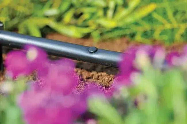 Irrigation pipe hole plug Close-up of a garden tool with blurred flowers and plants in the background