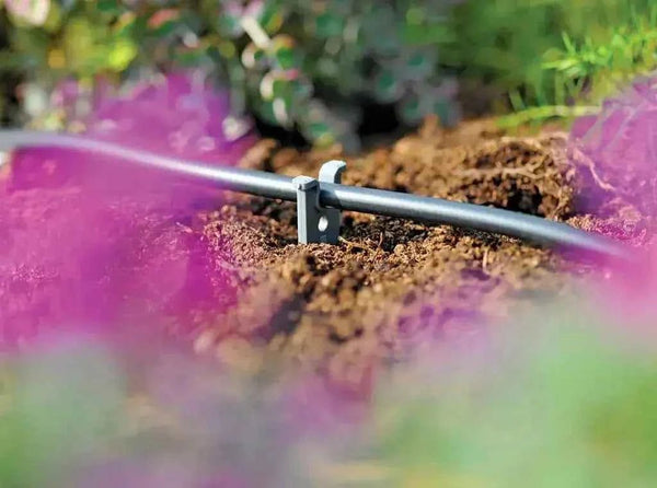 Hozelock 2781 4mm Micro Tube Stakes - Secure Irrigation Pipe