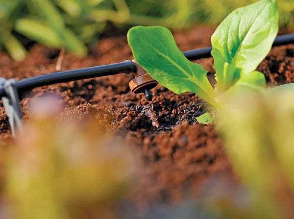 Hozelock 2784 Drip irrigation system watering young plants in a garden