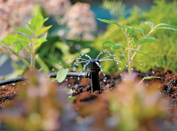 Hozelock 2788 sprinkler in action