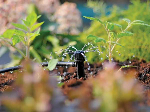 Hozelock 2788 sprinkler in action