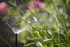 90 degree microjet spraying plants