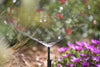 Hozelock 2791 microjet spraying plants