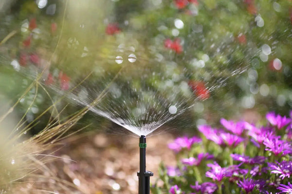 Hozelock 2791 microjet spraying plants