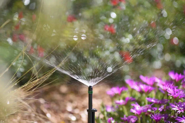 Hozelock 2791 microjet spraying plants