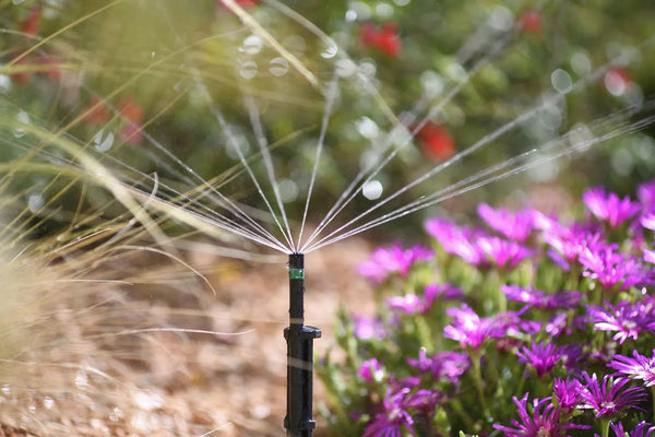 Hozelock 2792 360 microjet spraying garden flowers