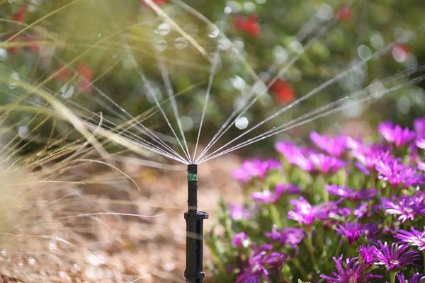 Hozelock 2792 360 microjet spraying garden flowers