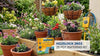 Hozelock 2803 20 Pot Automatic Watering Kit with Timer for Effortless Plant Care