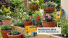 Hozelock 2803 20 Pot Automatic Watering Kit with Timer for Effortless Plant Care