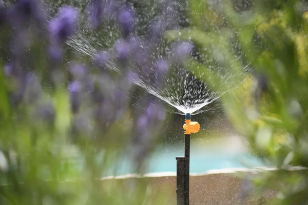 Hozelock 7030 sprinkler in action