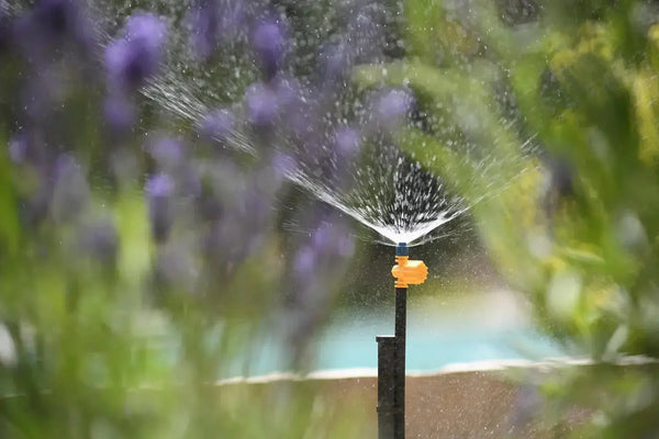 Hozelock 7030 sprinkler in action