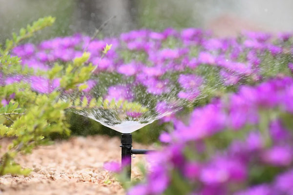 Hozelock 7041: 360° Adjustable Spray for Precise Watering.