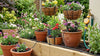 Garden with various potted plants and flowers, including a water hose and faucet.