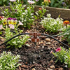 inline netafin 4 litre per hour dripper in garden