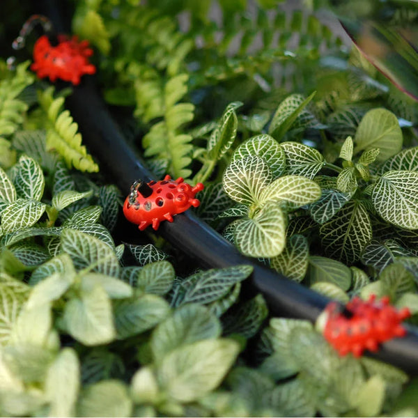Ladybug Irrigation Drippers