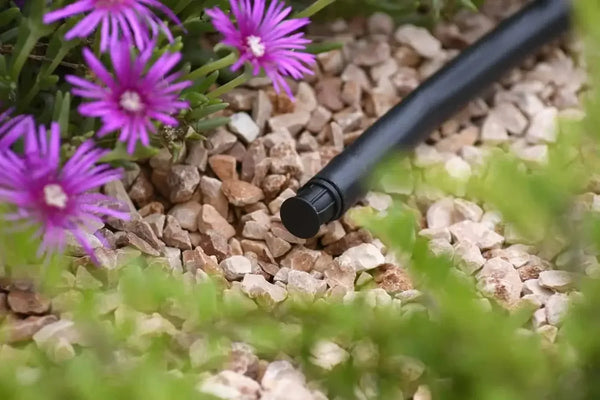 Irrigation end stop in pipe over gravel with flowers