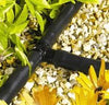 Drip irrigation system with tee connectors flowers and gravel in the background