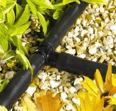 Drip irrigation system with tee connectors flowers and gravel in the background