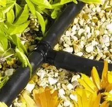 Drip irrigation system with tee connectors flowers and gravel in the background