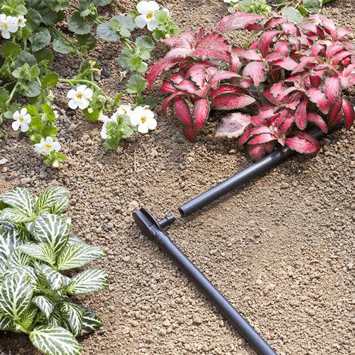 Two black garden irrigation pipes lying on a garden bed with plants and flowers.