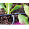 Drip irrigation system in a garden with plants
