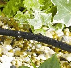 Micro soaker hose watering plants over plants