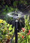 Sprinkler spraying water in a garden with greenery and flowers.