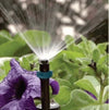 Strip microjet watering green and purple flowers