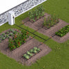 Garden layout with raised beds and plants, including an irrigation system