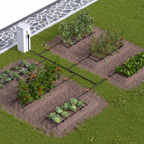 Garden layout with raised beds and plants, including an irrigation system