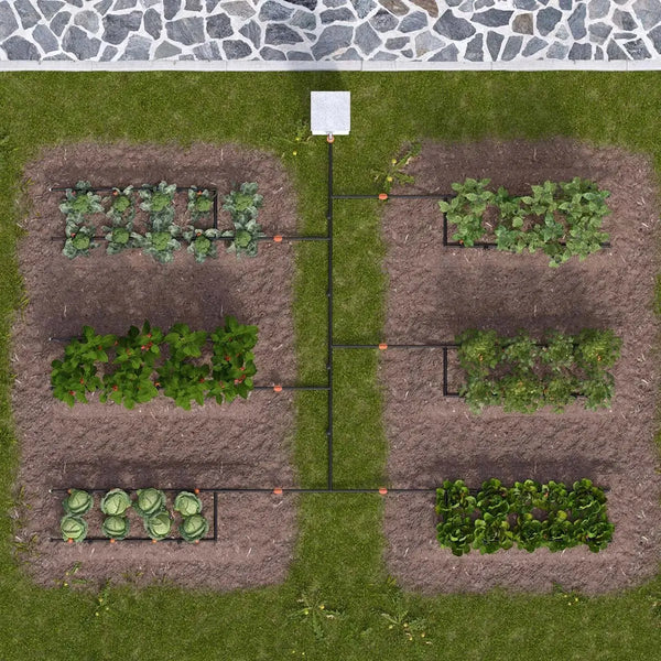 Top-down view of a vegetable garden with rows of plants being irrigated