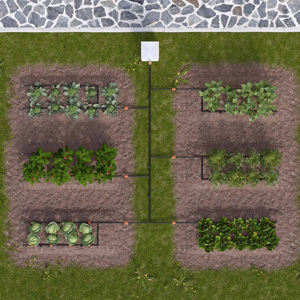 Top-down view of a vegetable garden with rows of plants being irrigated