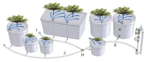 Aquaponics system with plants and water circulation diagram