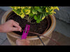 Rainbird Micro Drip Line Video