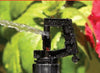 Black sprinkler head spraying water with a blurred green and red background