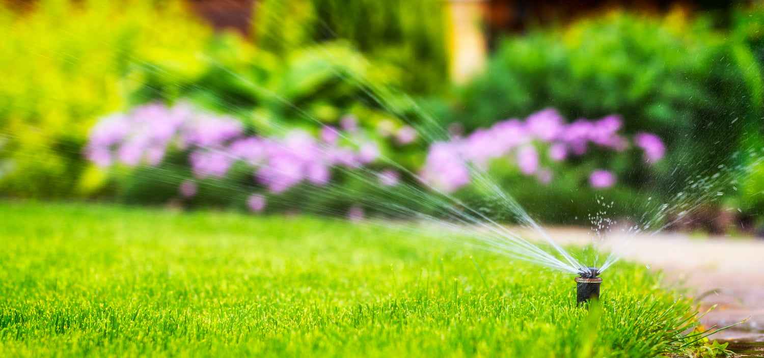 Sprinkler watering grass with flowers in the background