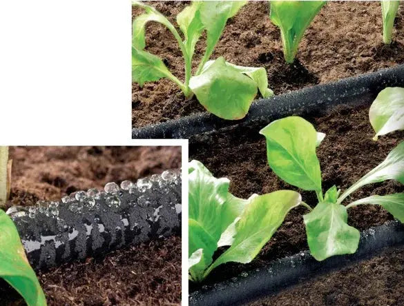 Soaker irrigation system with plants and soil